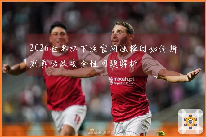 2026世界杯下注官网选择时如何辨别真伪及安全性问题解析