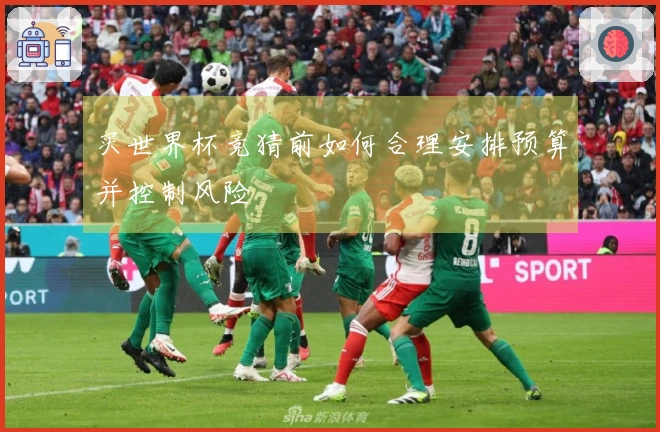 买世界杯竞猜前如何合理安排预算并控制风险