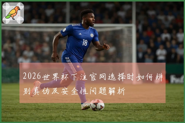 2026世界杯下注官网选择时如何辨别真伪及安全性问题解析