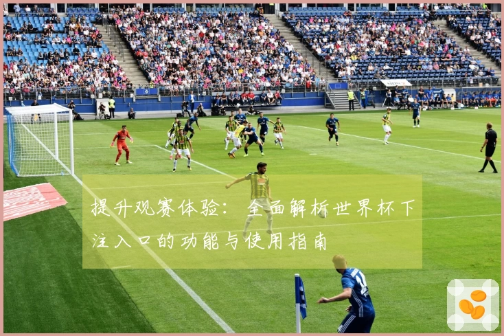 提升观赛体验:全面解析世界杯下注入口的功能与使用指南
