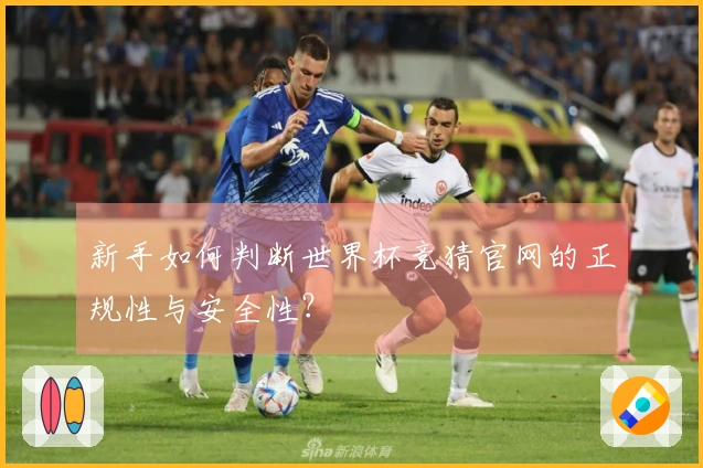 新手如何判断世界杯竞猜官网的正规性与安全性？