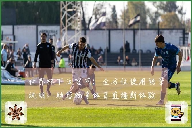 世界杯下注官网：全方位使用场景说明，助您畅享体育直播新体验