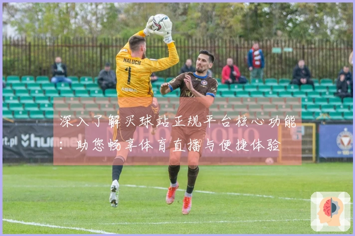 深入了解买球站正规平台核心功能：助您畅享体育直播与便捷体验